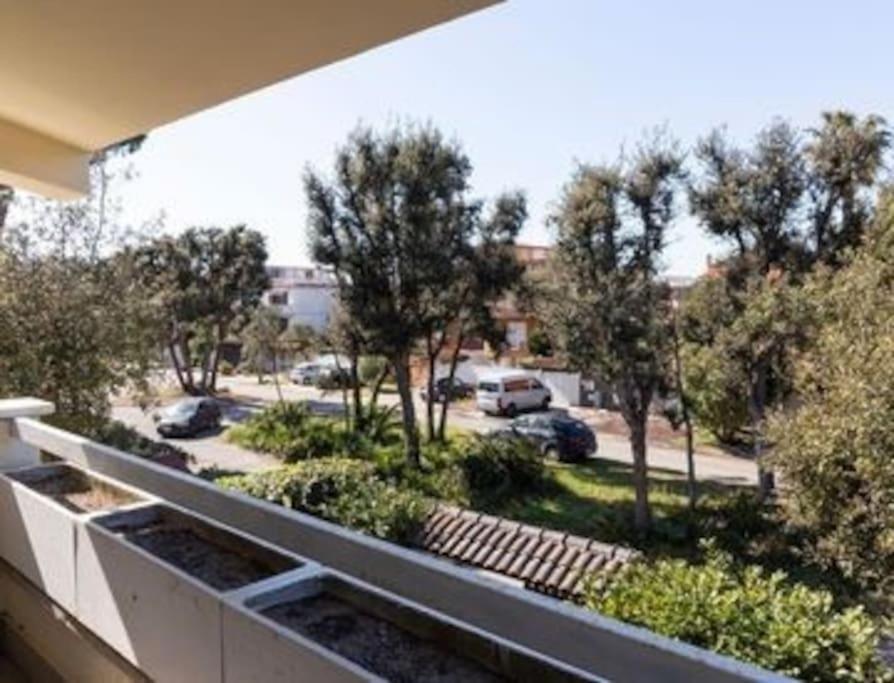 Magnifica Villa A Fregene Fregenae Exterior photo